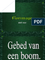 Gebedvaneenboom