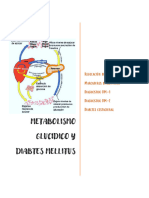 Metabolismo Glucidico