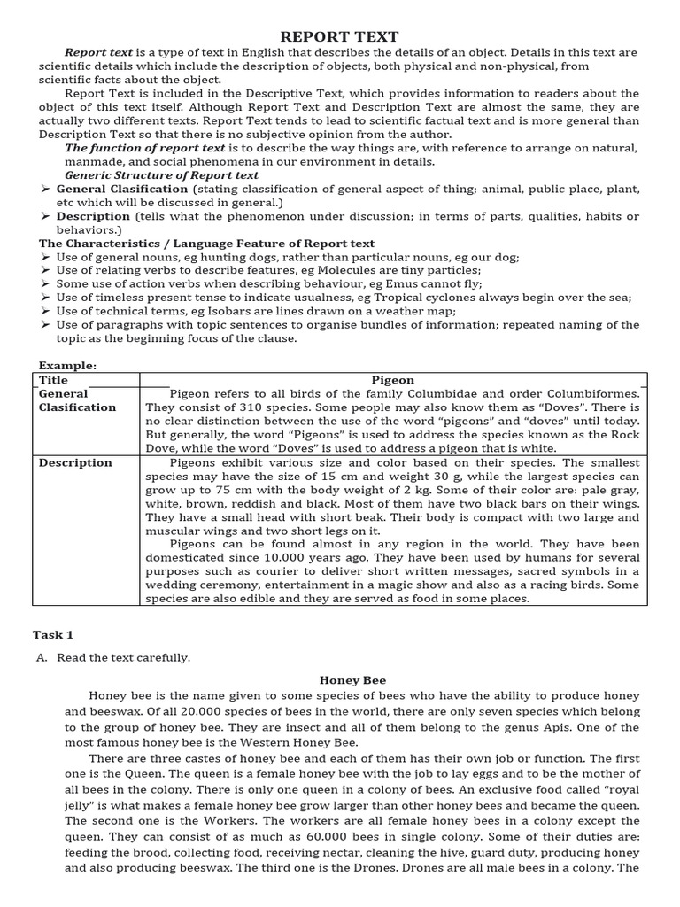 Understanding Report Text Structure | PDF | Coconut | Honey Bee