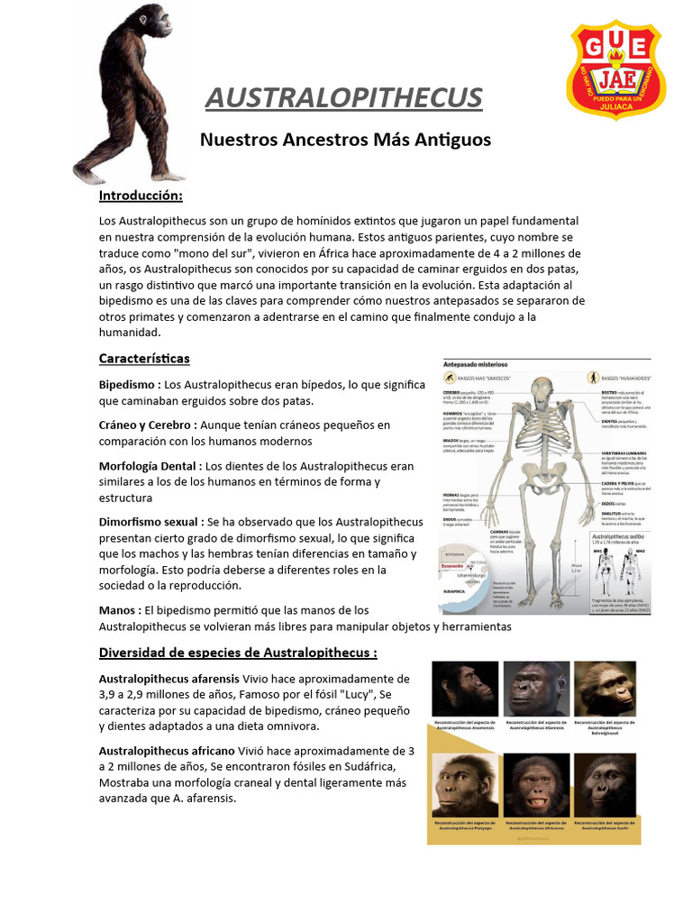 Características y Hábitat de Australopithecus | PDF | Evolución humana