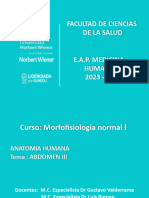 Clase 23 Morfofisiologia Normal I 2023 - II Abdomen III Actualizado