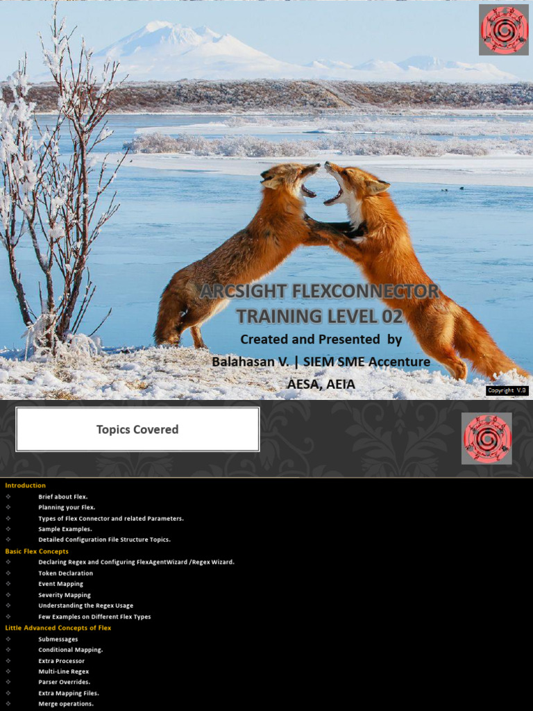 ArcSight Flexconnector Training V2 PDF Parsing Computer File