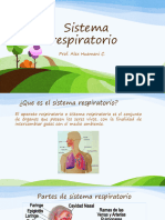 Sistema Respiratorio