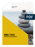 Mba 7343 Strategic Management