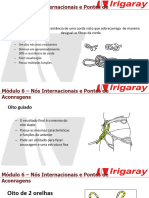 6 - Nós e Pontos de Ancoragem