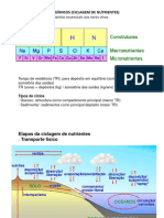 Ciclos Biogeoquímicos