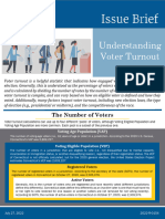 Understanding Voter Turnout: The Number of Voters