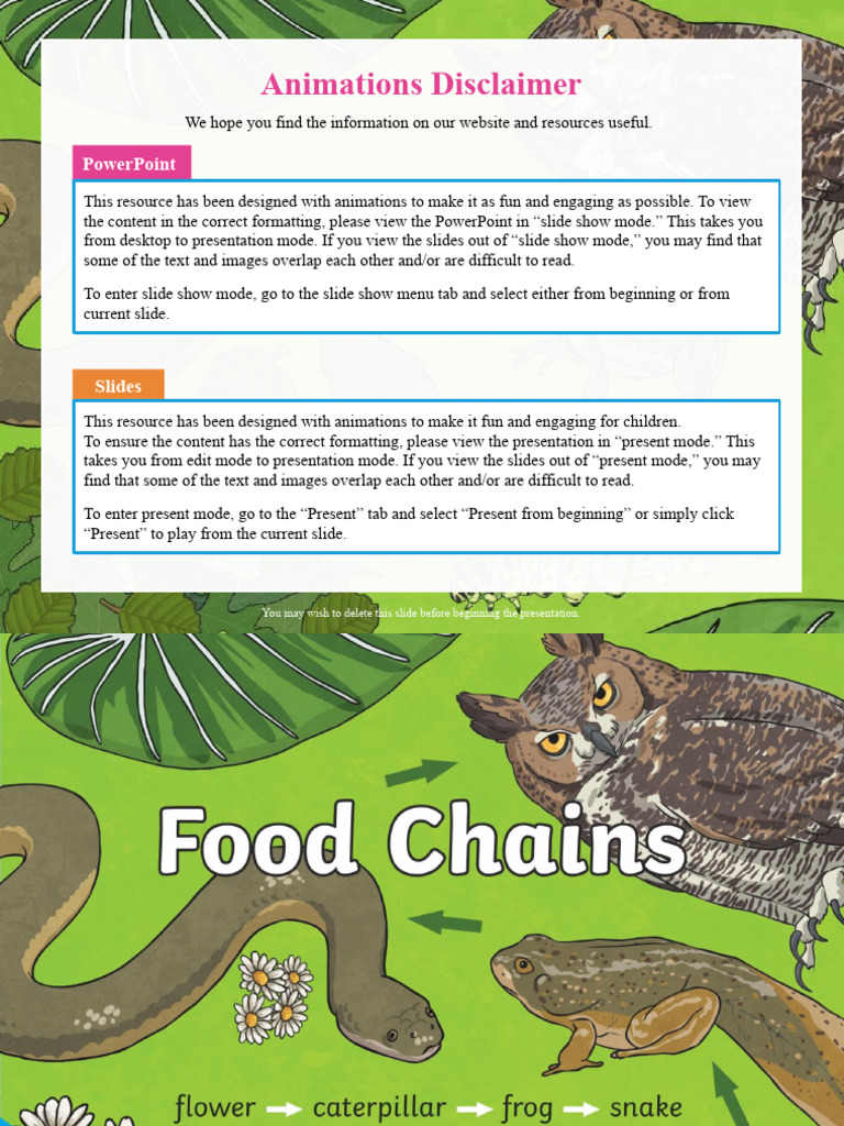 Creating Food Webs in Google Slides | PDF | Predation | Foods