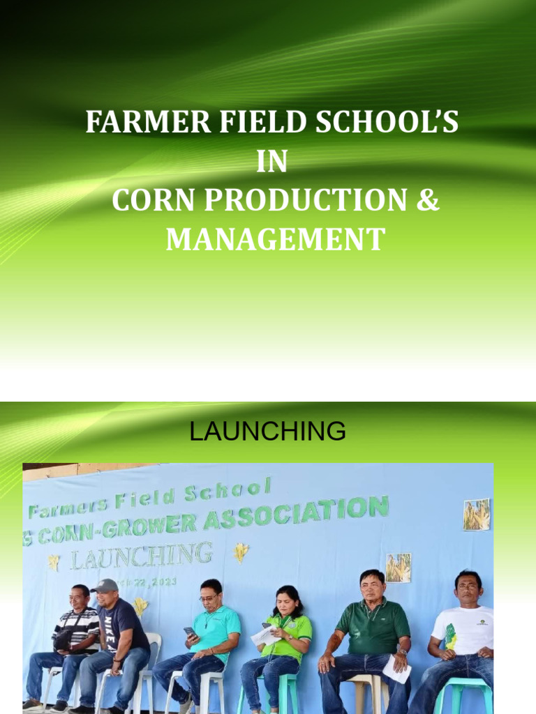 Farmer Field School's in Corn Production & Management | PDF