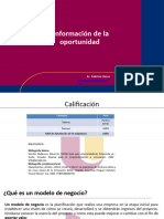 Diapositivas Conformación de La Oportunidad