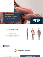 GD4-Anatomía Humana