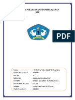 RPP Sistem Ekskresi