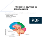 Anatomia y Fisiologia Del Tallo Cerebral 3 Bulbo Raquideo
