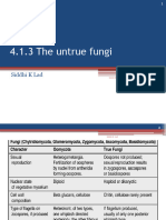 4.1.3 The Untrue Fungi: Siddhi K Lad