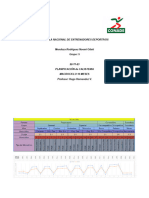 Macrociclo Planificación