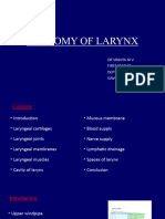 Anatomy of Larynx