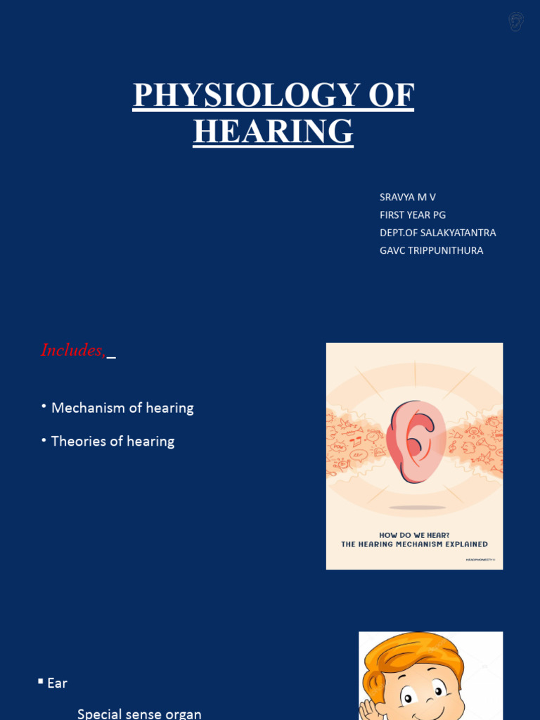Mechanism and Theories of Hearing | PDF | Hearing | Auditory System