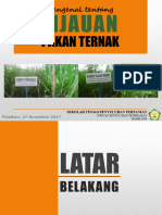 Hijauan Pakan Ternak Pe.9040352.Powerpoint