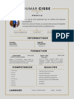 Gray and Golden Resume CV