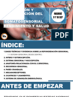 Ydray Curso Sistema Somatosensorial (II Edicion) - Alumnos Madrid