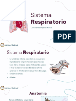 Exposicion Sistema Respiratorio