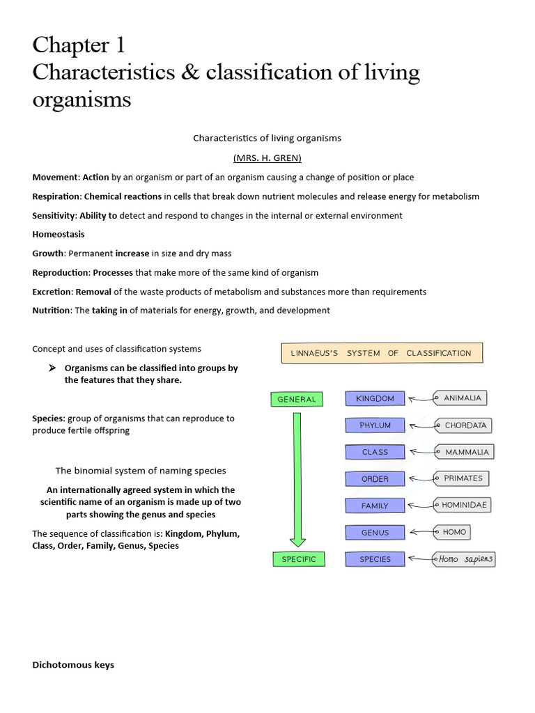 Biology Igcse Summary PDF Digestion Enzyme