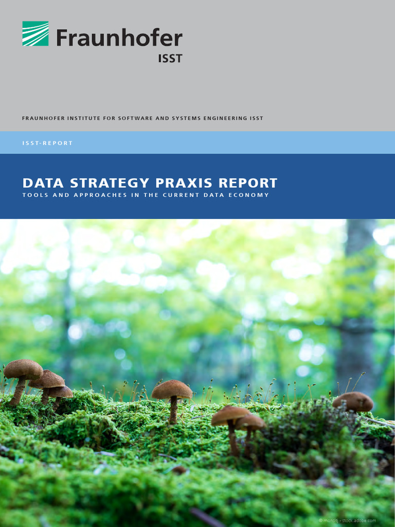 Fraunhofer - ISST Report - Data Strategy Praxis Report | PDF ...