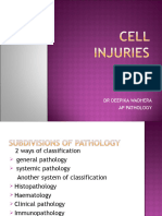 1) Cell Injury BPT - 092731