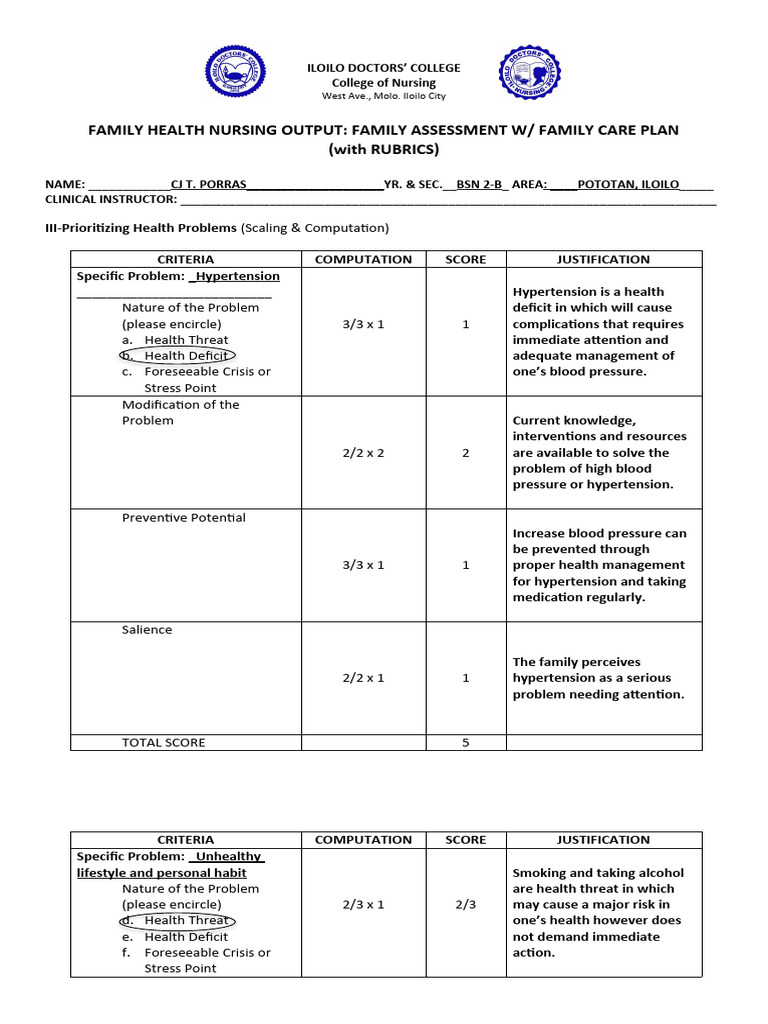 Family Health Nursing Assessment | PDF | Hypertension | Hygiene