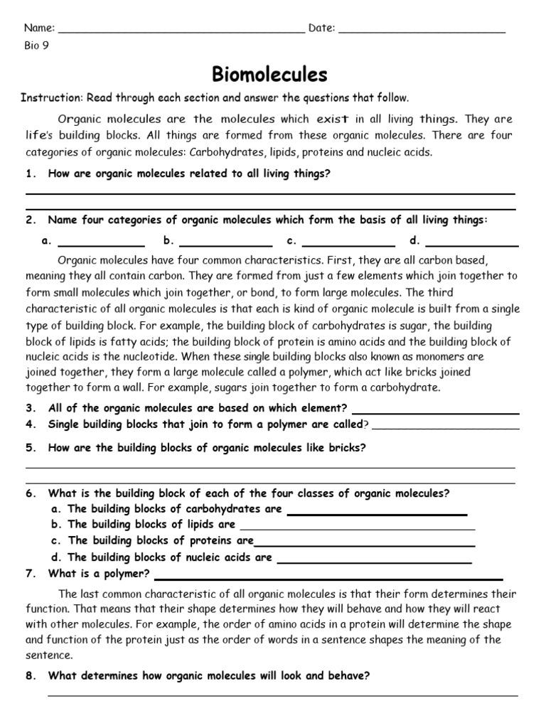 Biomolecules Reading PDF Carbohydrates Nucleic Acids