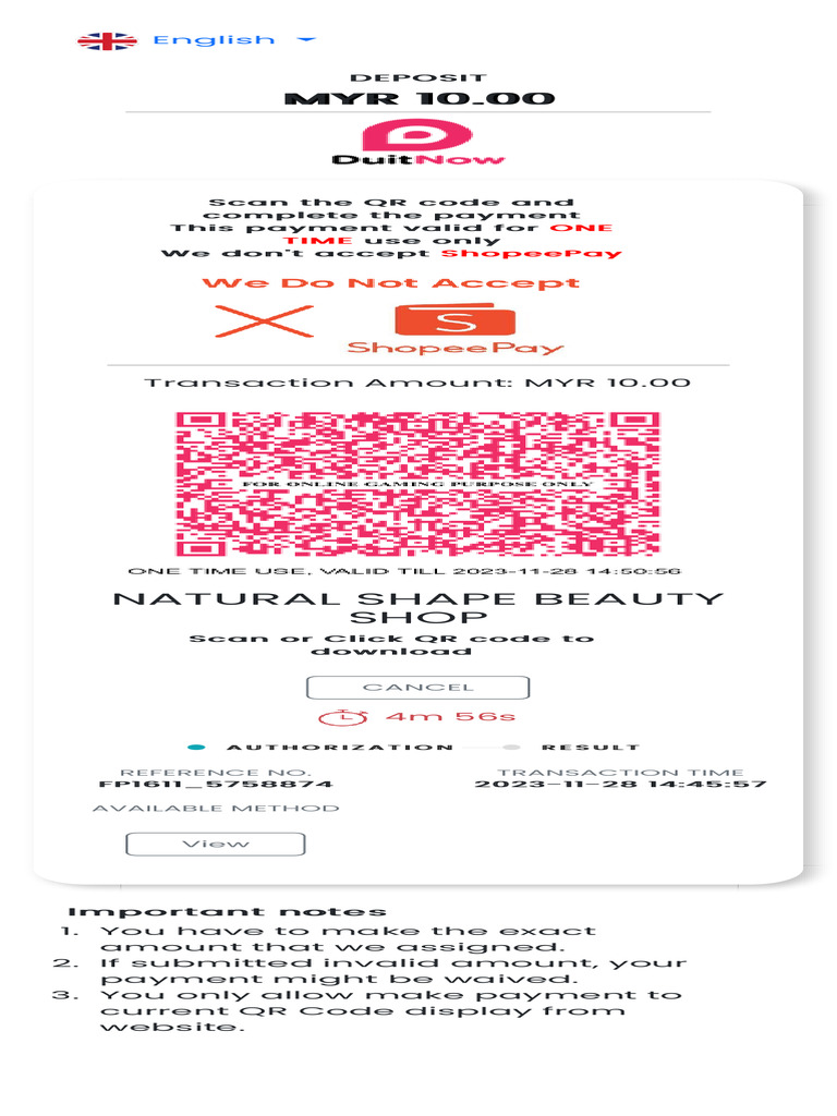 QR Code Payment Instructions | PDF