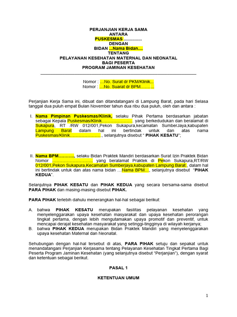 Format PKS Bidan Jejaring 2024 | PDF
