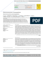 Phéochromocytome Et Paragangliome