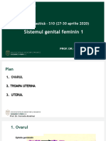 Sistemul Genital Feminin 1: Lucrare Practică - S10 (27-30 Aprilie 2020)