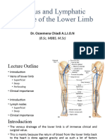 Venous and Lymphatic Drainage of The Lower Limb