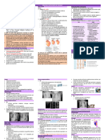 Principals Patologies Del Nounat