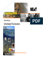 Format Presentation NExT2010Day 2 - ADx