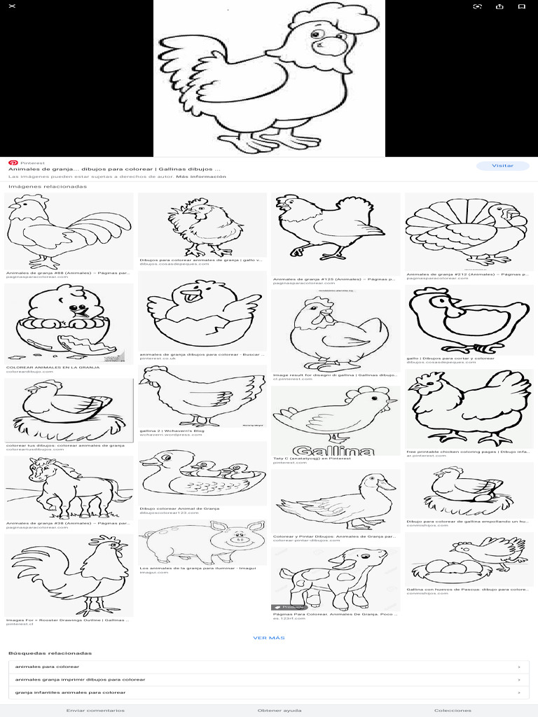animales-dela-granja-para-colorear-b-squeda-de-google-pdf-aves-de-la-jungla-aves-de-corral