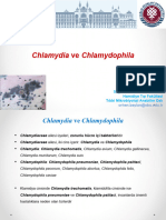 12 Chlamydia Ve Chlamydophila