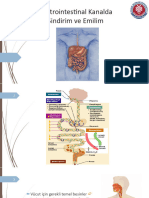 Gastrointestinal Kanalda Sindirim Ve Emilim