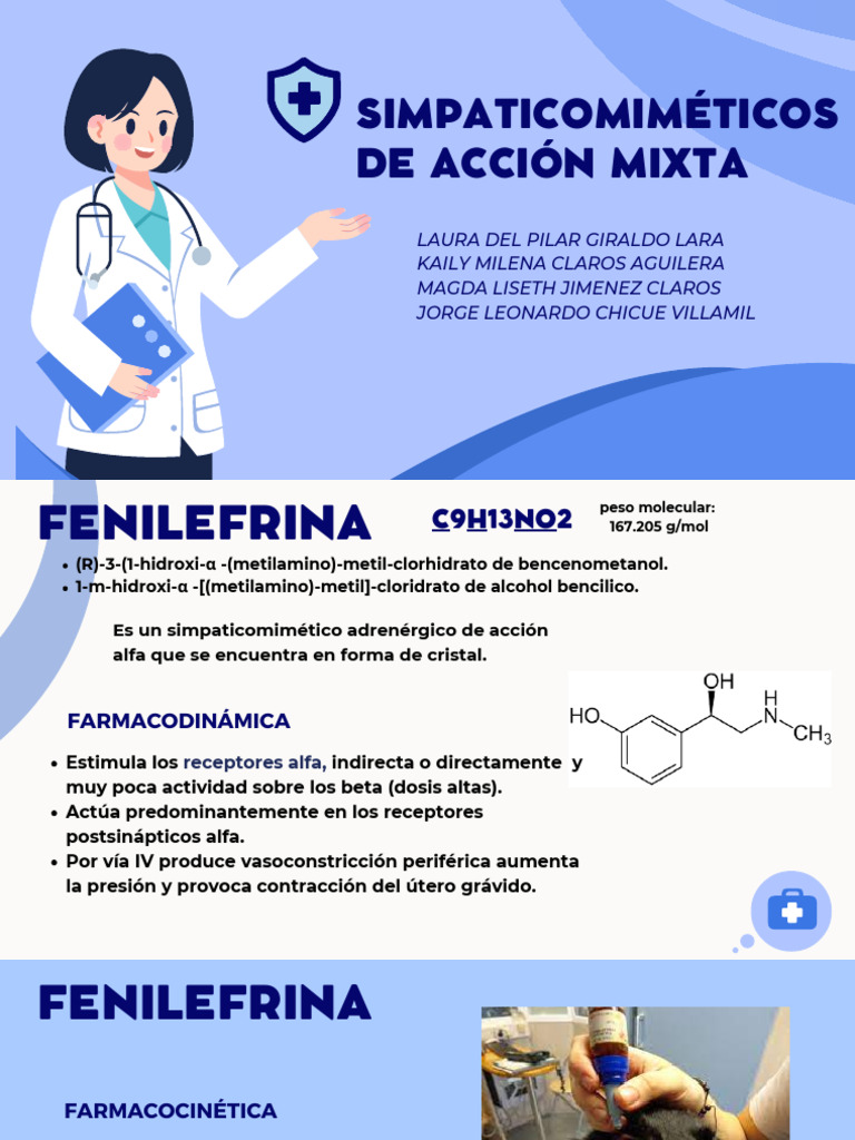 Mecanismo y Farmacología de la Fenilefrina | PDF | Farmacocinética ...