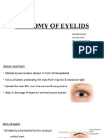 Anatomy of Eyelids 