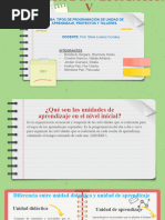 Tipos de Programacion de Unidad Aprendizaje