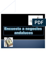 Presentacion - Encuestas Negocios