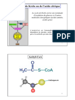 Cycle de Krebs Ou de L Acide Citrique