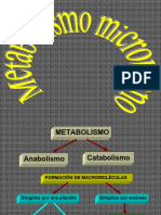 Metabolismo Microbiana