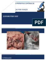 Esporoticose (Aula) PDF