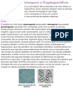 Eimeria, Cystoisospora e Cryptosporidium