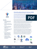 6WIND VBNG Datasheet