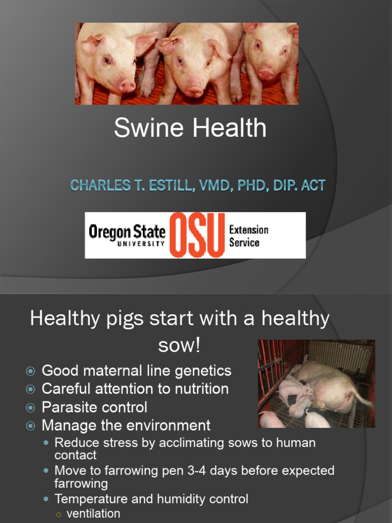 Swine Health Overview DR Charles Padil | PDF | Pig | Medicine